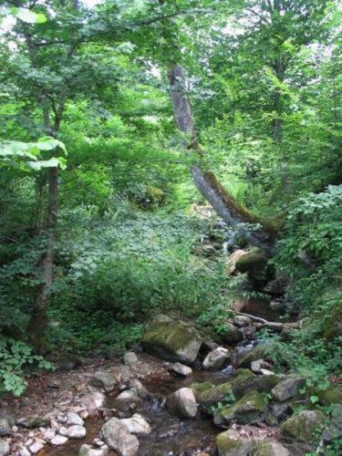 Villa Cherven テテヴェン エクステリア 写真